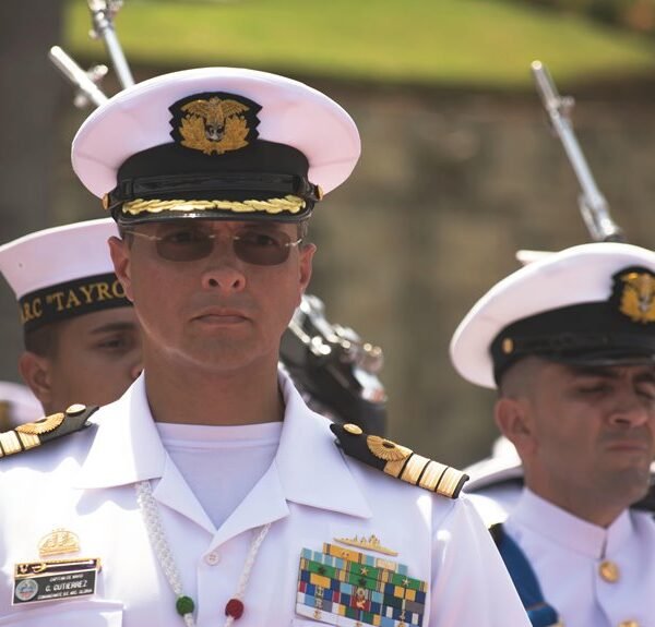 organic ranking and link building