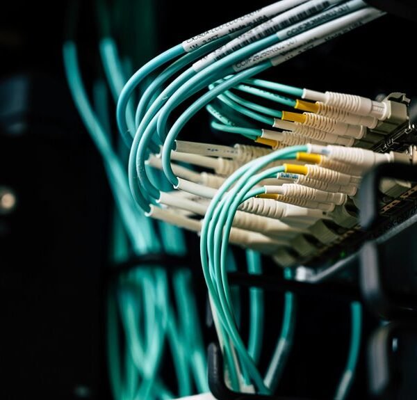 creative cloud services suite