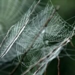 innovative cloud networking solution