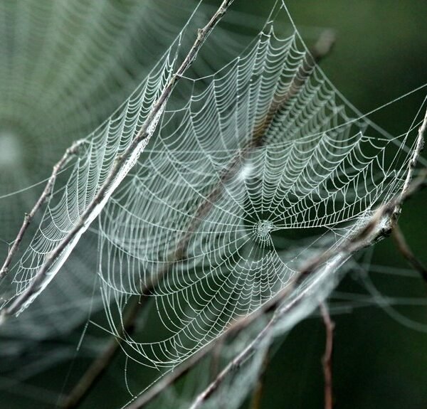 innovative cloud networking solution